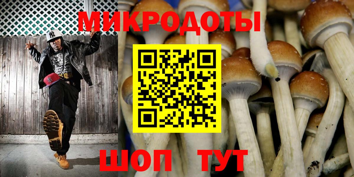 Элиста  Псилоцибиновые грибы мухоморы  как найти   Вход с VPN 